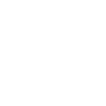 20.CITROEN